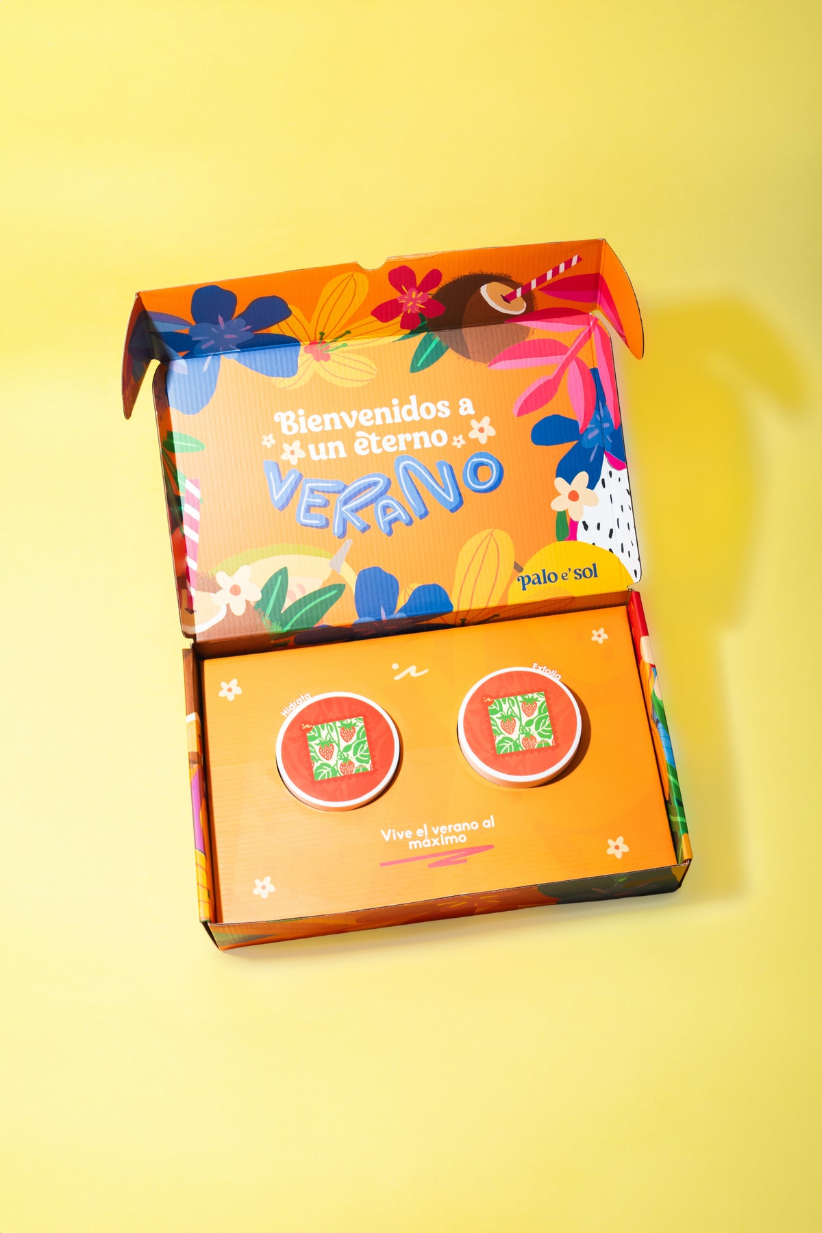 Kit Infaltables del Verano Palo e’ sol